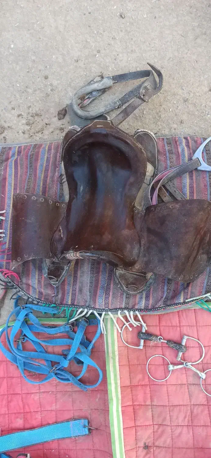 زین اسب سواری.کله گیر.لقام یادهنی.زین بهاره.عرقگیر|اسب و تجهیزات اسب‌سواری|صحنه, |دیوار