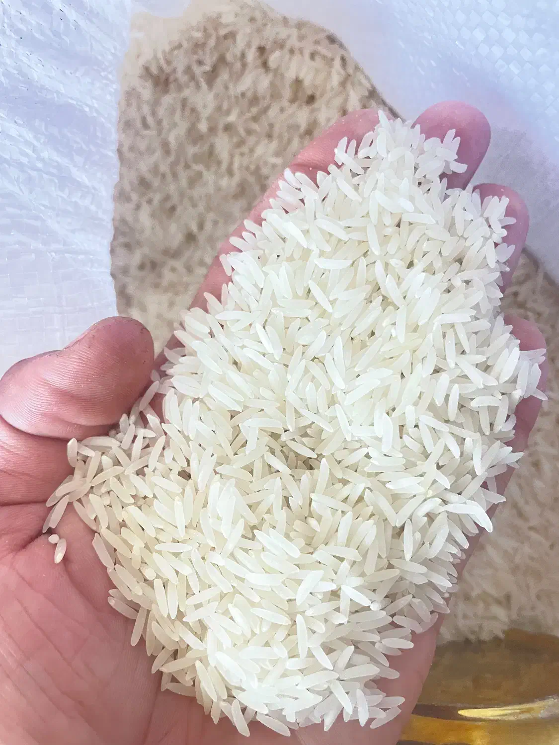 برنج فجر سوزنی گرگان|خوردنی و آشامیدنی|تهران, جمهوری|دیوار