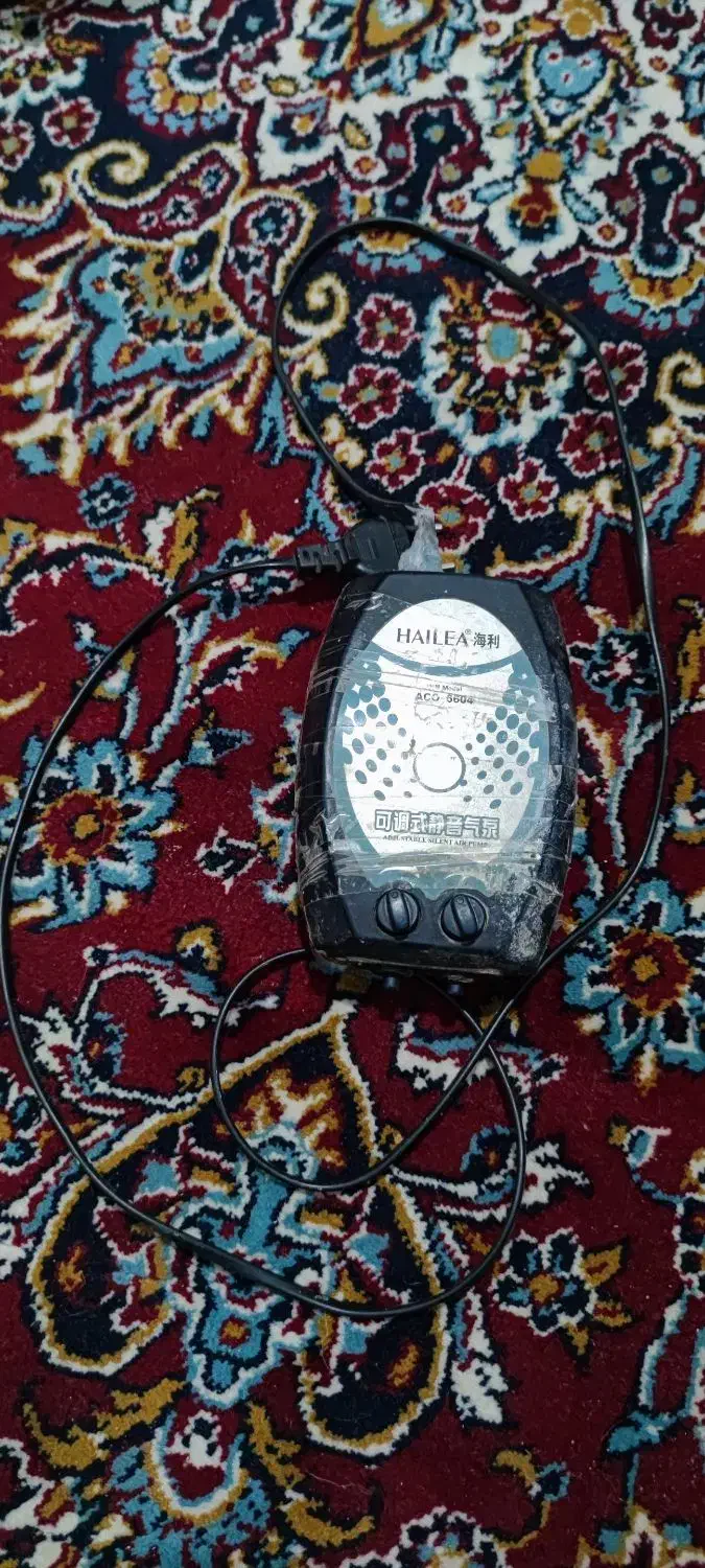 اکواریوم|ماهی|بیرجند, |دیوار