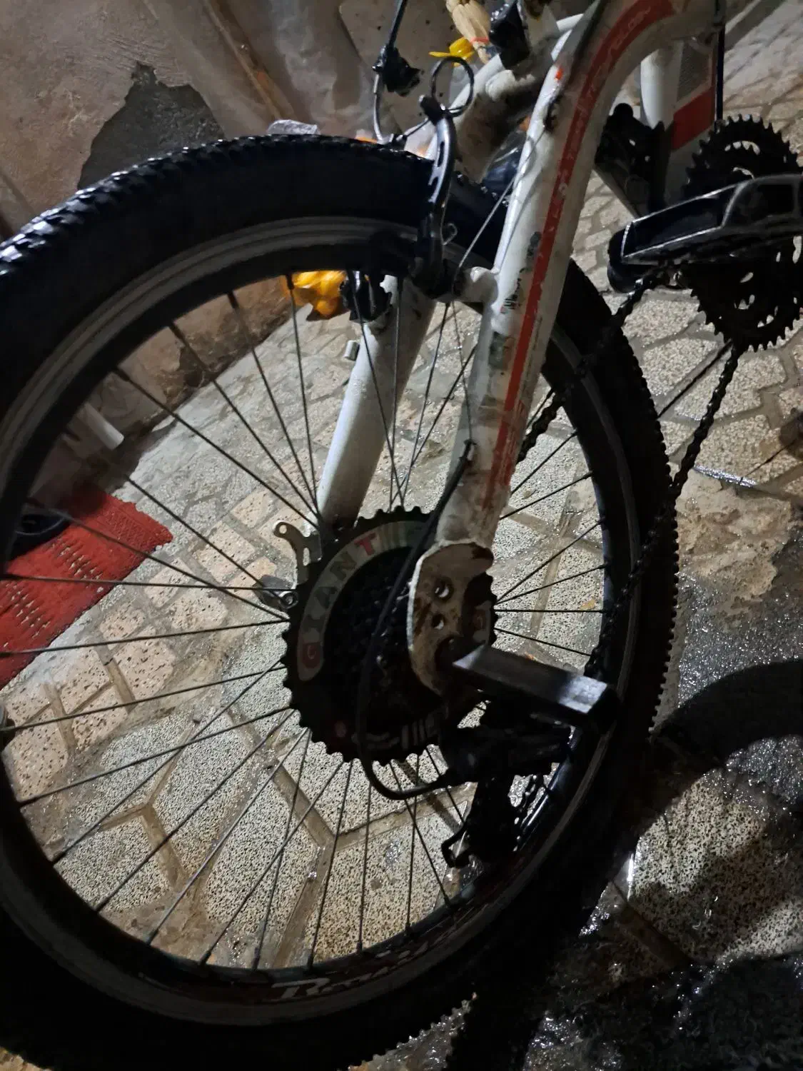 دوچرخه ۲۴ دنده ای ویسا|دوچرخه، اسکیت، اسکوتر|مشهد, کوی دروی|دیوار