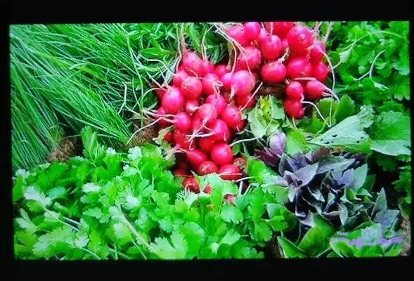 نیازمند نیرو خانم|استخدام خدمات فروشگاه و رستوران|قشم, |دیوار