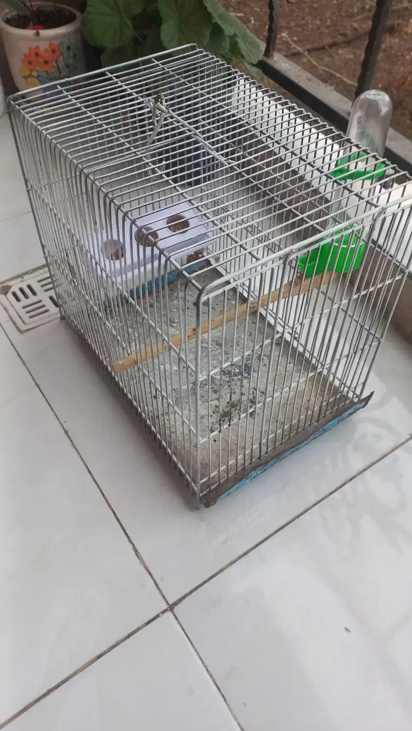 قفس غلامی سهره|لوازم جانبی حیوانات|لاهیجان, لیالستان|دیوار