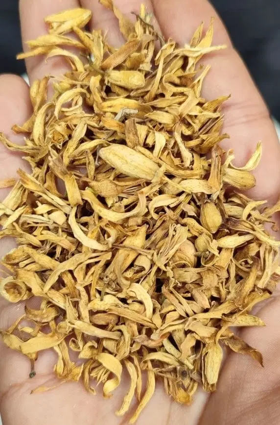 بهار نارنج بهارنارنج بهار مرکبات بهارمرکبات عطاری|خوردنی و آشامیدنی|تهران, جمهوری|دیوار