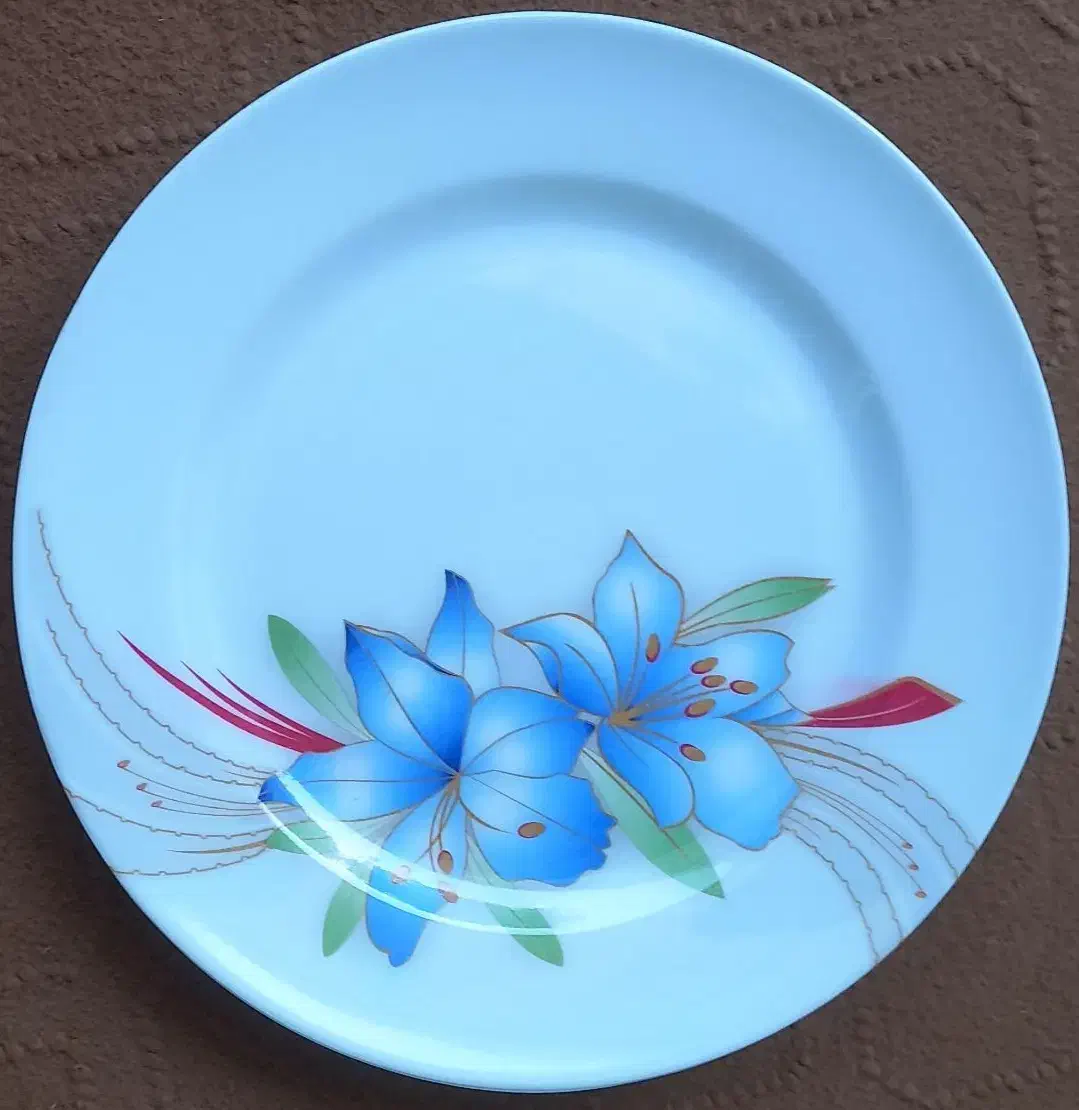 سرویس ملامین جنس خوب|ظروف سرو و پذیرایی|کاشان, پا نخل|دیوار