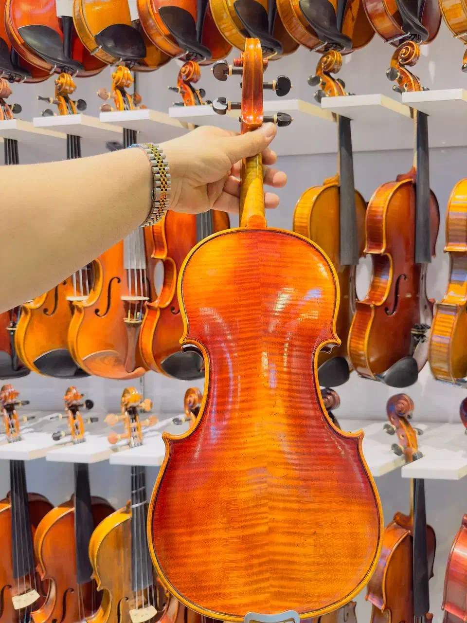 تعویض ویولن|ویولن|شیراز, شهرک قمشه|دیوار