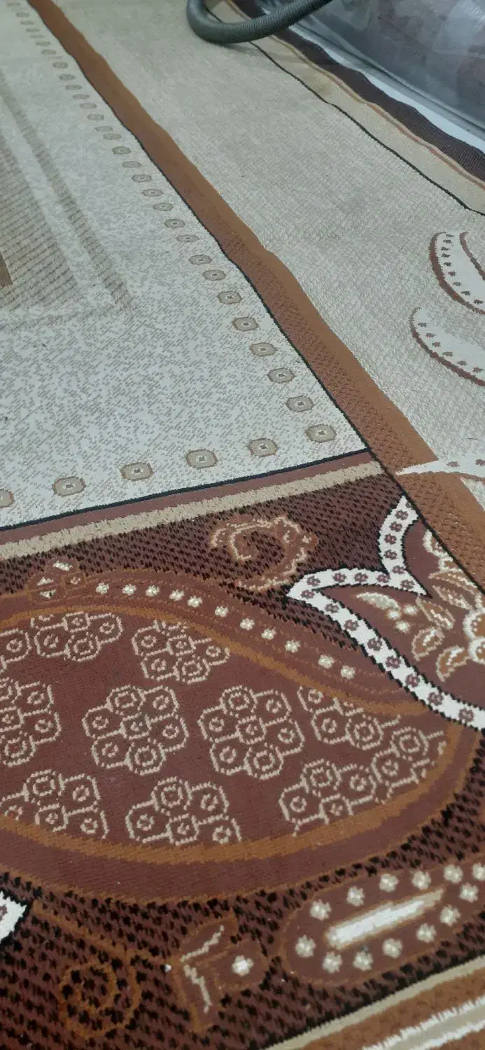 گلیم فرش|گلیم، جاجیم، گبه|بابل, |دیوار