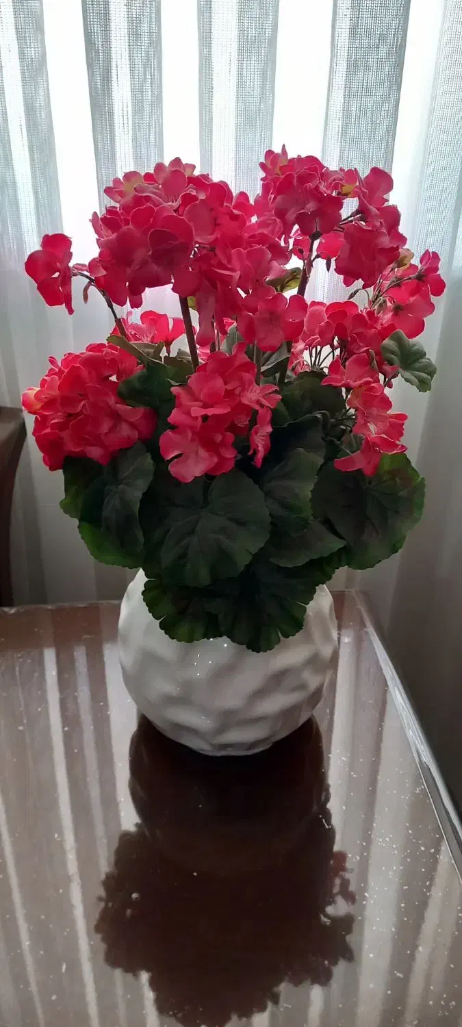 گلدان شمعدونی خارجی در حد نو|گل مصنوعی|زنجان, |دیوار