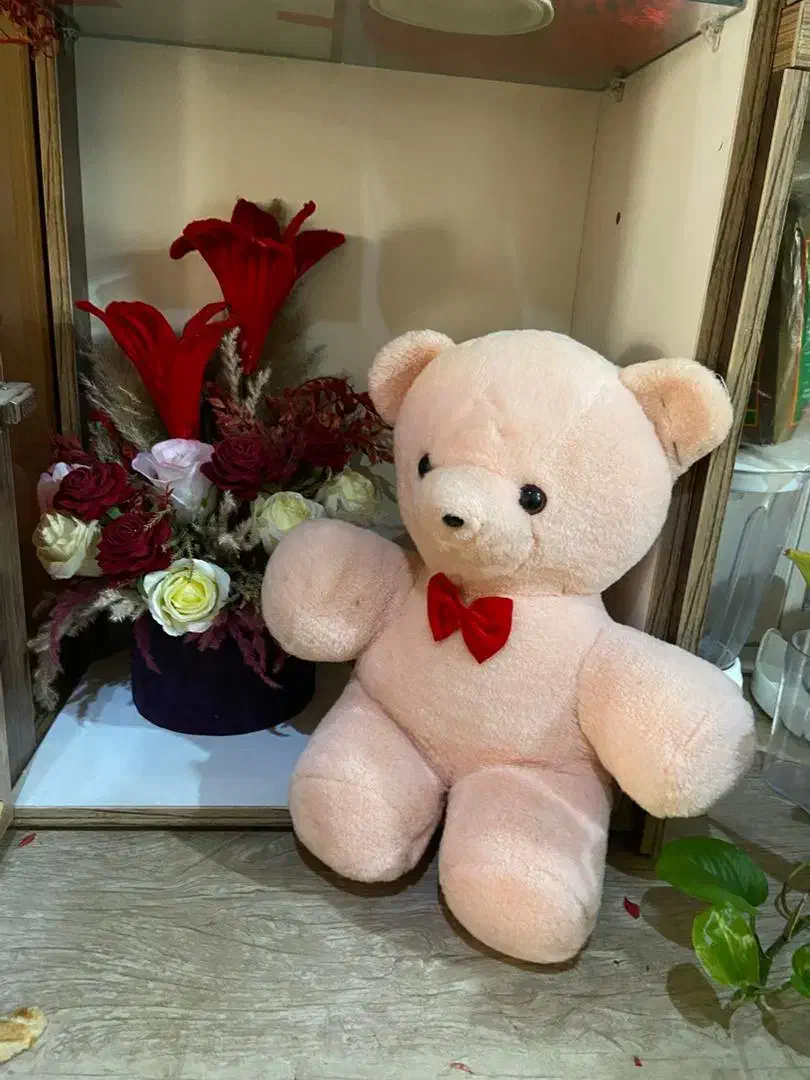 پولیشی ها عروسک خرسک باکس گل|کلکسیون و سرگرمی|ری, سیزده آبان|دیوار