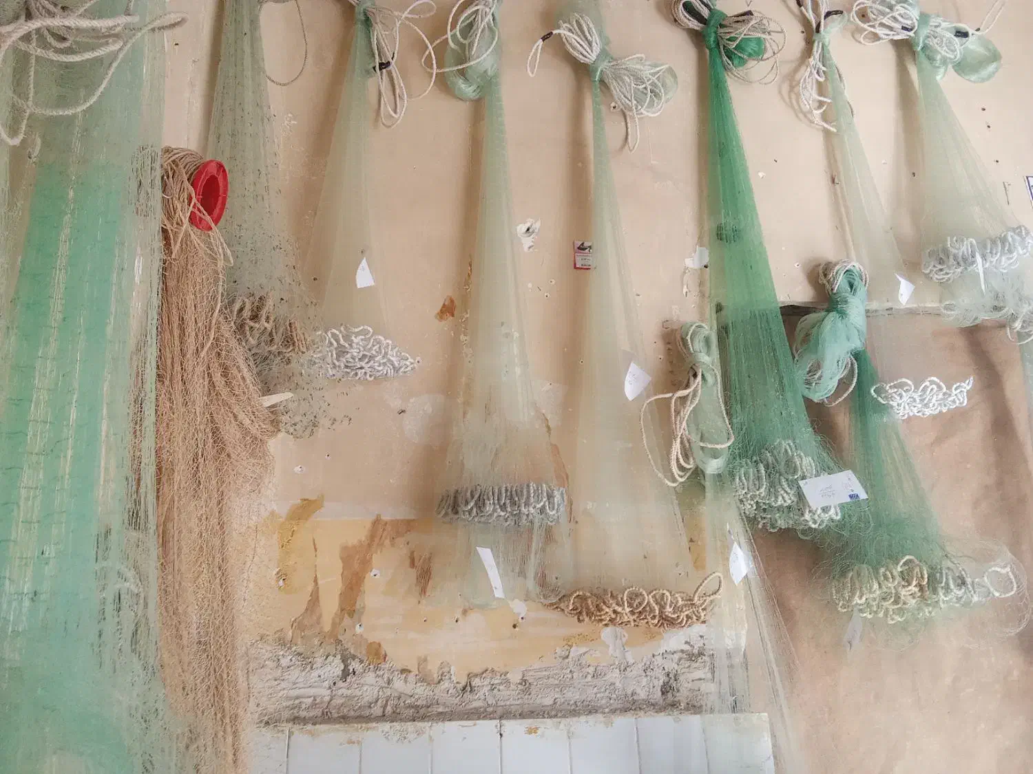 تورماهیگیری بدون واسطه|ماهیگیری|خرم‌آباد, |دیوار