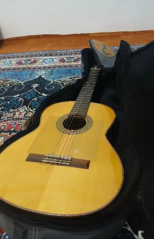 کیف یا کیس گیتار|گیتار، بیس، امپلیفایر|احمدسرگوراب, |دیوار