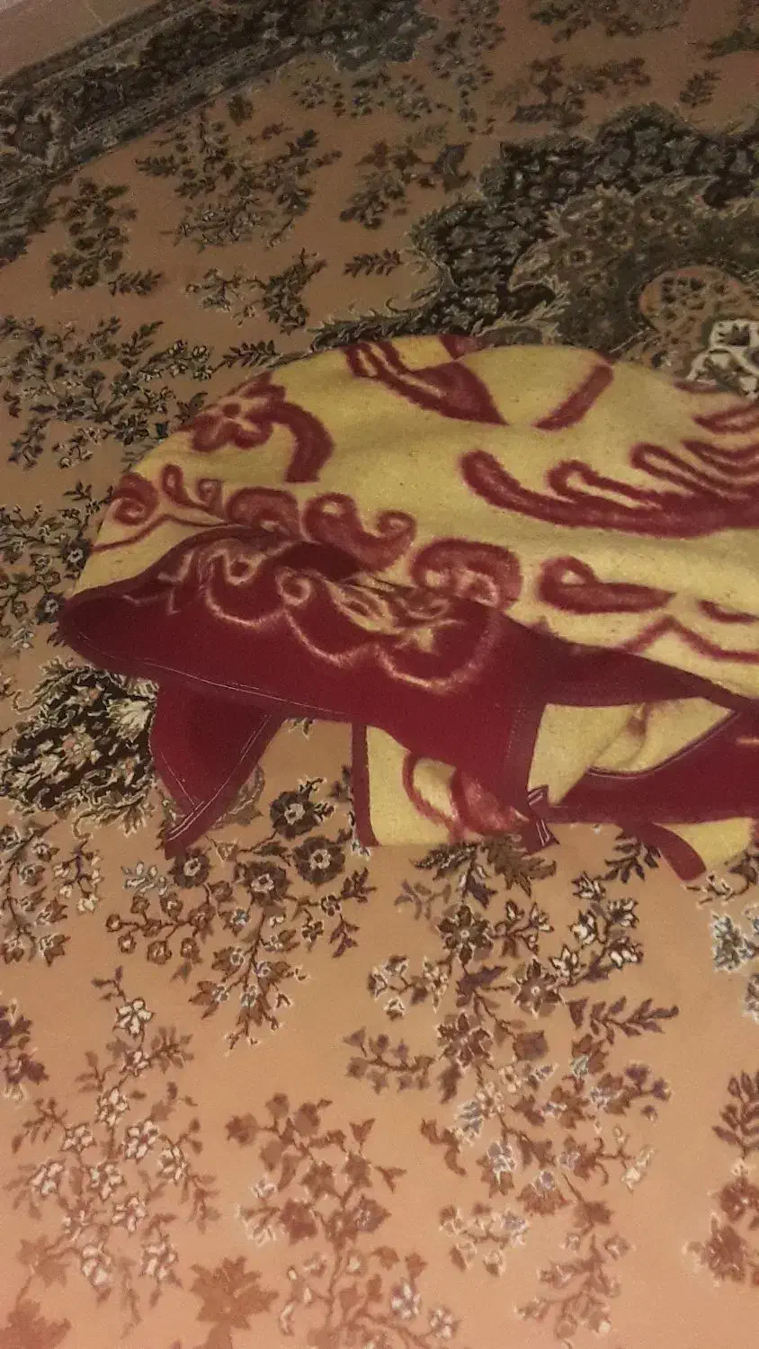 پتو در حد نو فروش و معاوضه با مواد غذایی دارم|رختخواب، بالش، پتو|بروجن, |دیوار