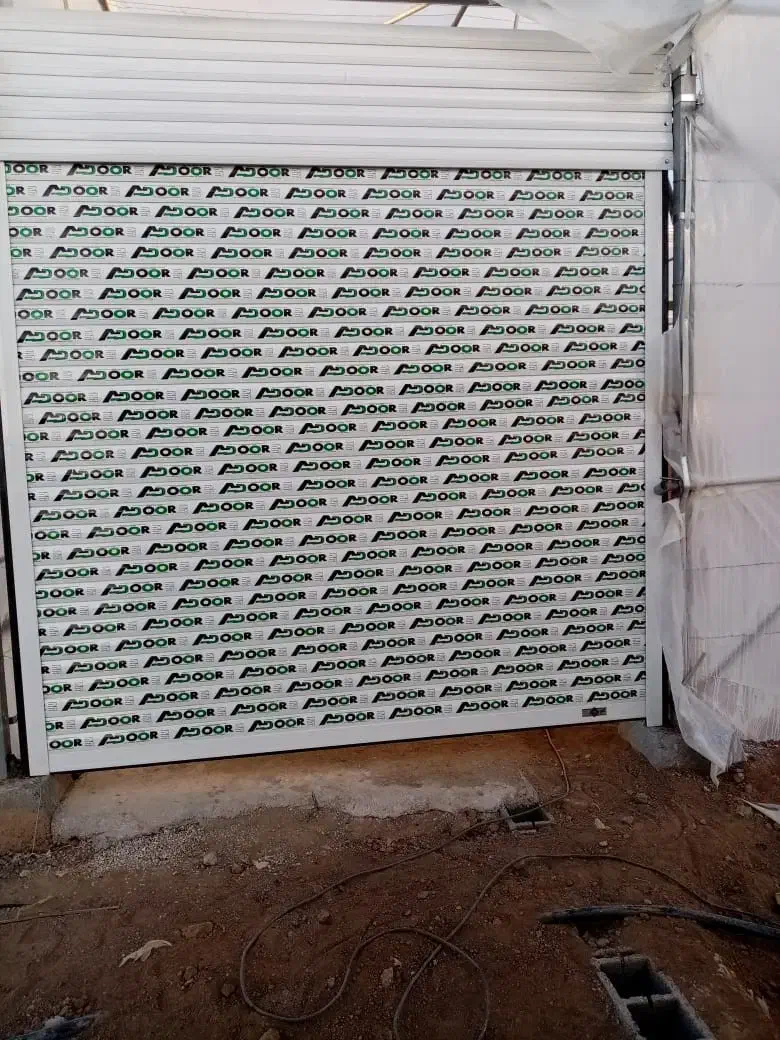 کرکره برقی.درهای اتوماتیک|خدمات پیشه و مهارت|همدان, |دیوار