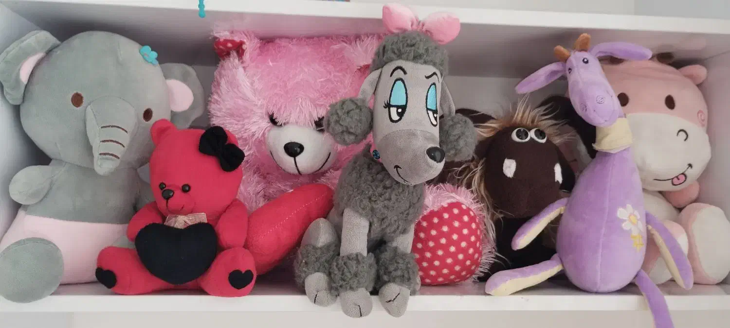 اسباب بازی|اسباب‌‌بازی|ابهر, |دیوار