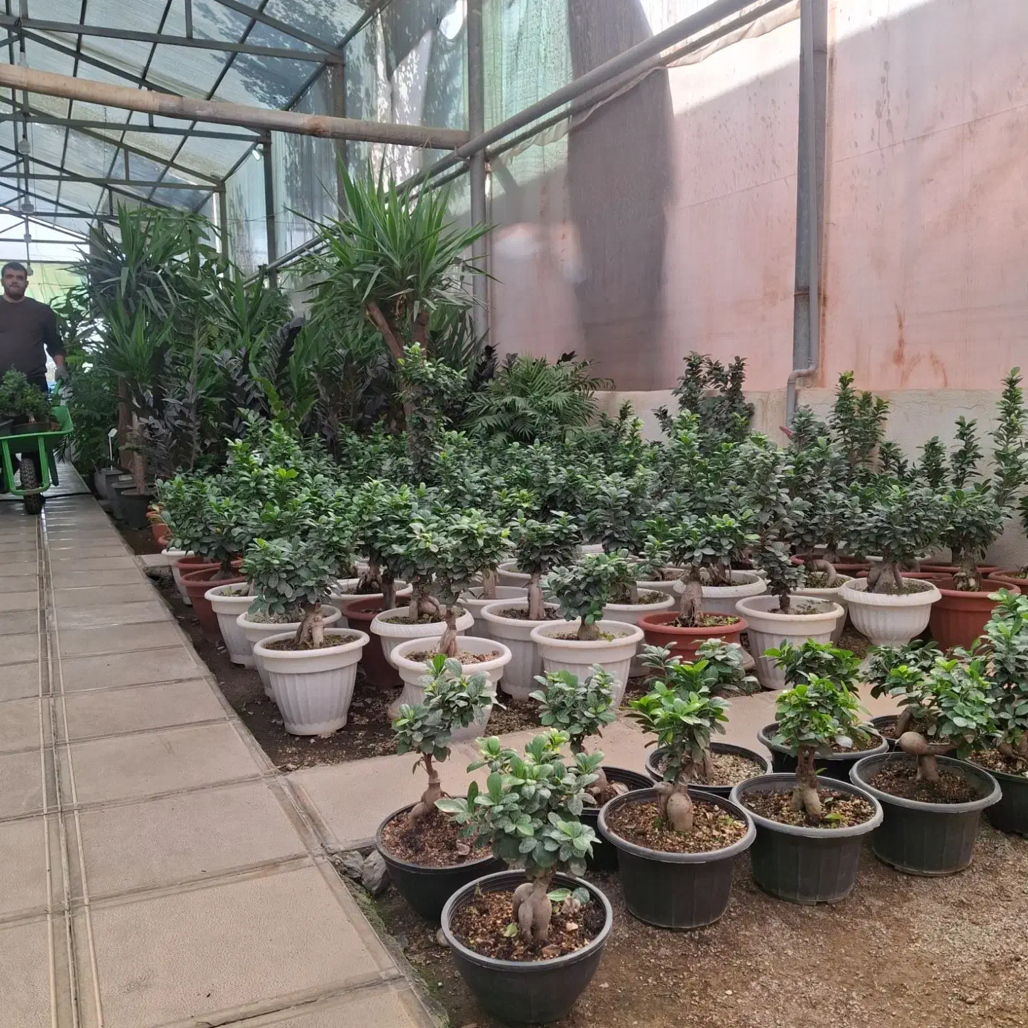 کارگر در گلخانه|استخدام خدمات فروشگاه و رستوران|پاکدشت, پاکدشت (مامازند)|دیوار