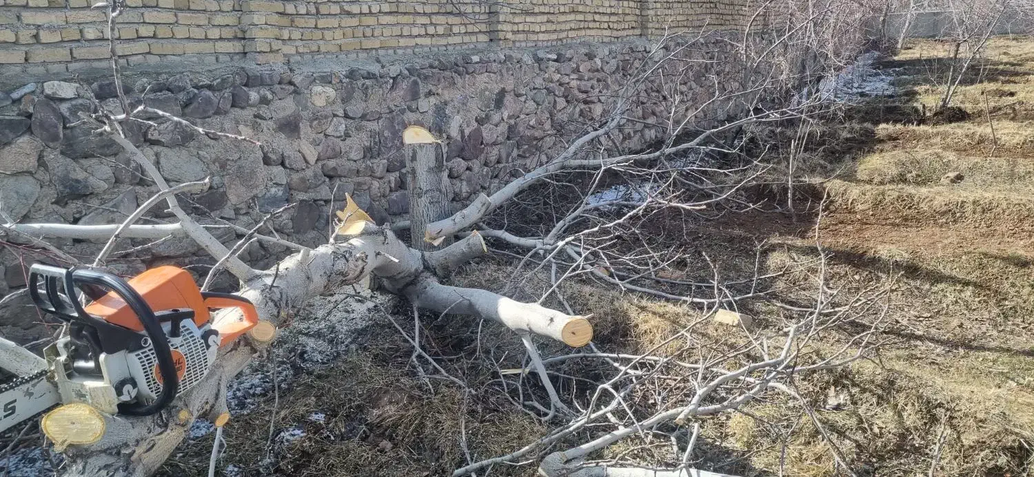 چوب بری سیار سجادی|خدمات باغبانی و درختکاری|کوهسار (البرز), |دیوار