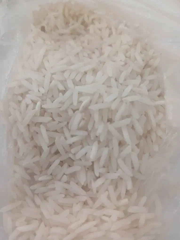 برنج درجه یک شیرودی طارم فجر|عمده‌فروشی|بابلسر, |دیوار