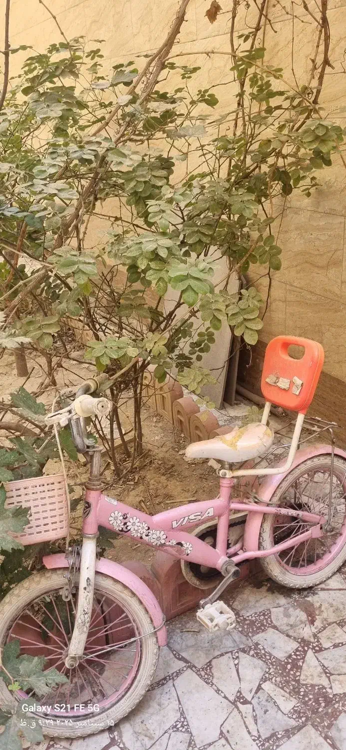 دوچرخه دخترانه|دوچرخه، اسکیت، اسکوتر|شهریار, شهریار|دیوار