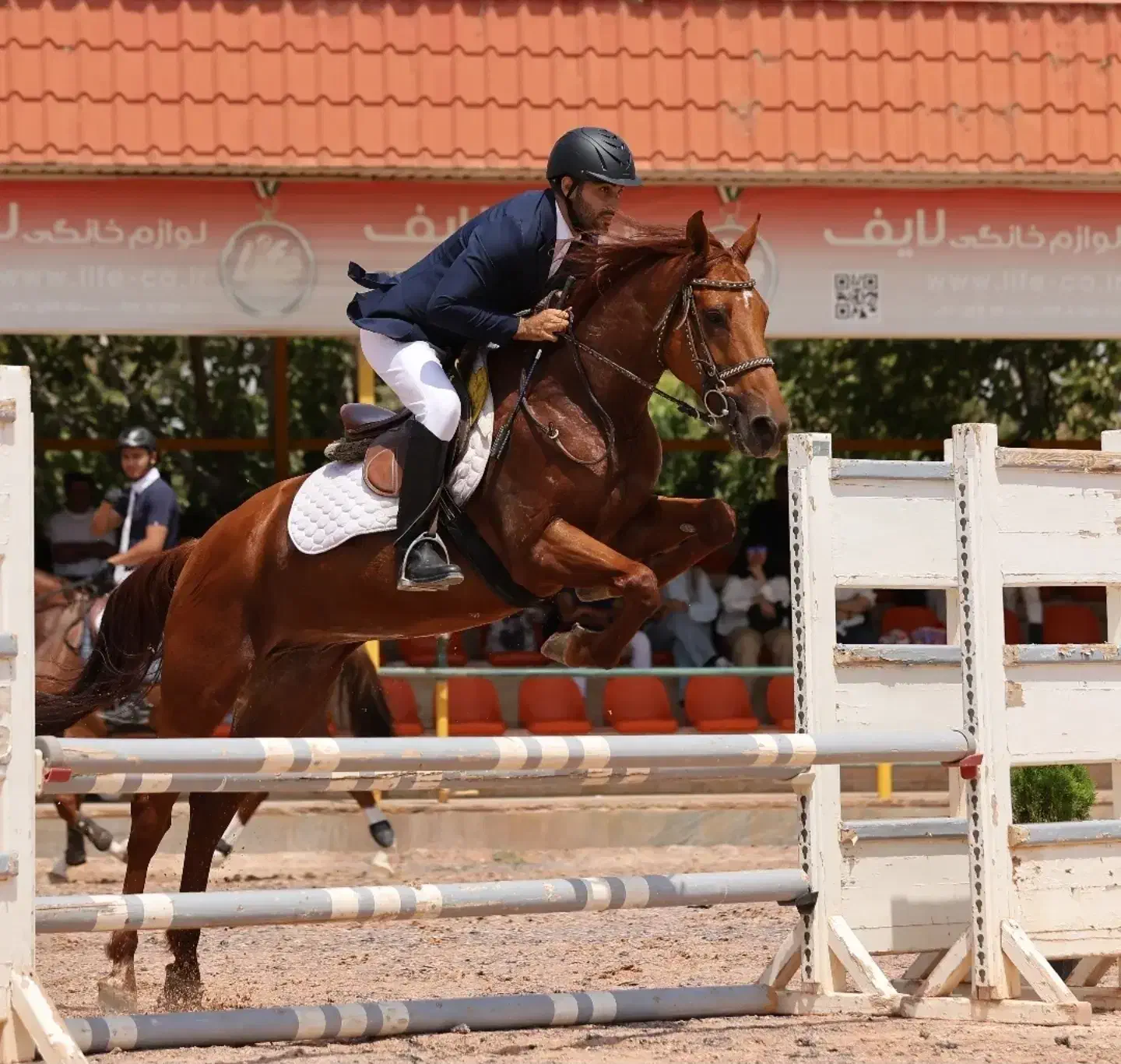 اسب پرشی یکسر خارجی|اسب و تجهیزات اسب‌سواری|رباط‌کریم, انجم آباد|دیوار