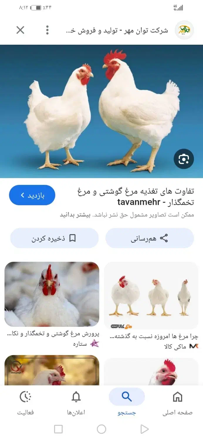 مرغ|فعالیت داوطلبانه|شیراز, احمدآباد|دیوار