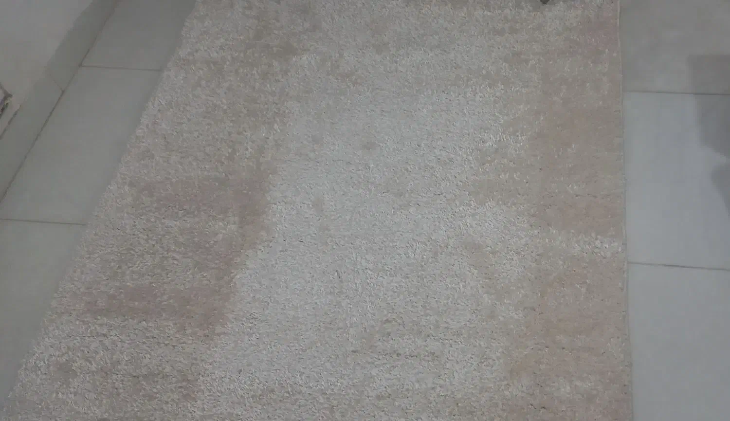 پالاز|موکت|مریوان, |دیوار