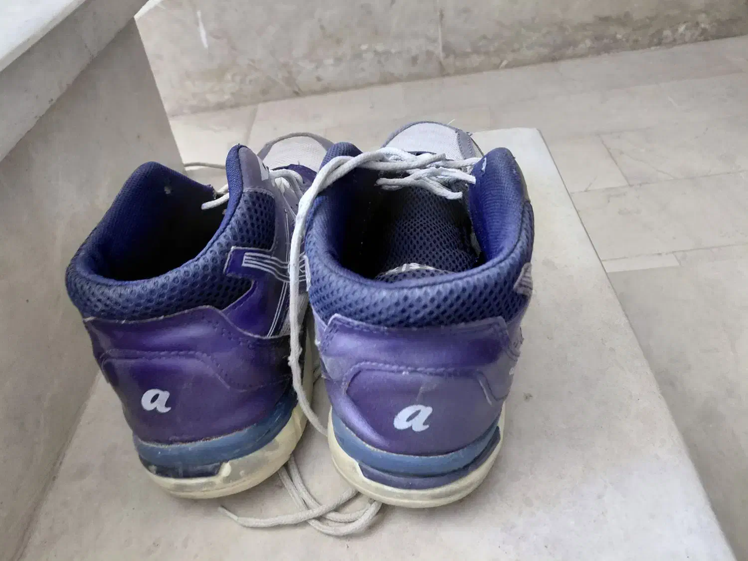 کفش والیبال ورزشی|کیف، کفش، کمربند|بم, |دیوار