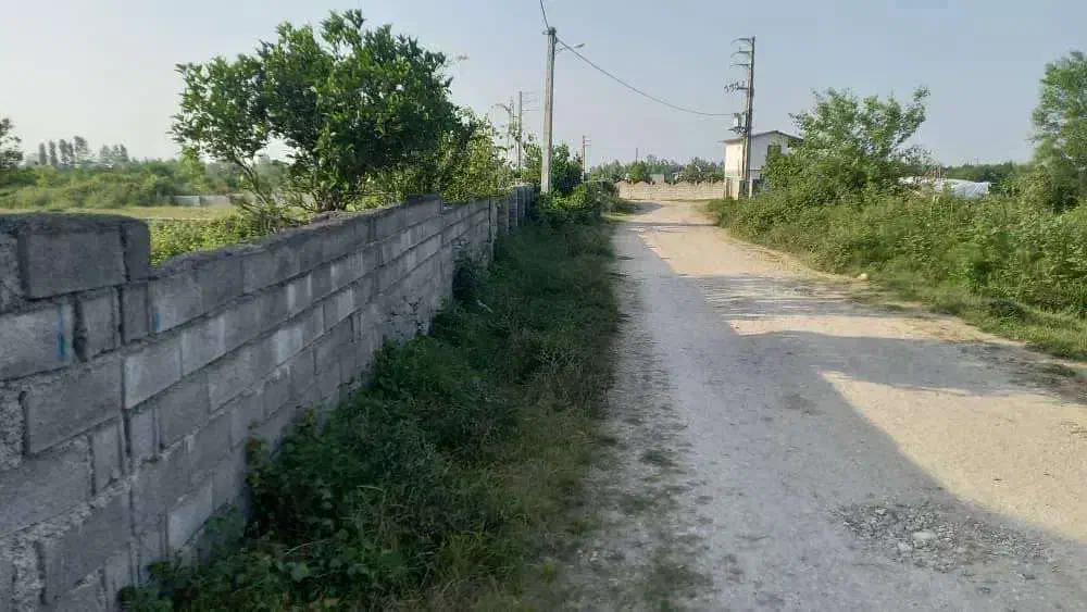 اجاره زمین به همراه سوله- نجارکلا عباسکلا|اجارهٔ دفتر صنعتی، کشاورزی، تجاری|چالوس, |دیوار