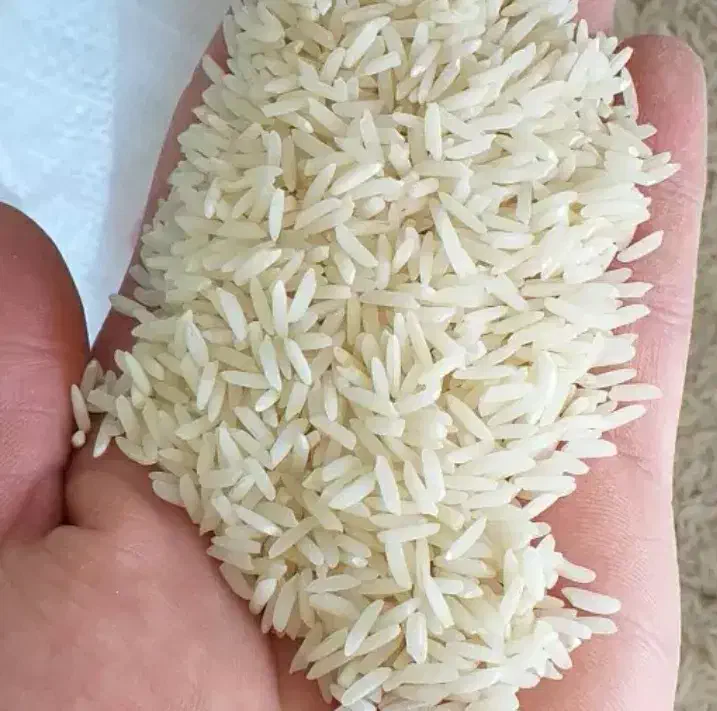 برنج طارم هاشمی بوجاری شده|خوردنی و آشامیدنی|بابل, |دیوار