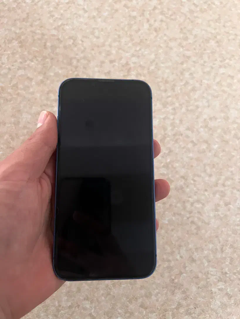 iphone 13|موبایل|سبزوار, پاسداران|دیوار