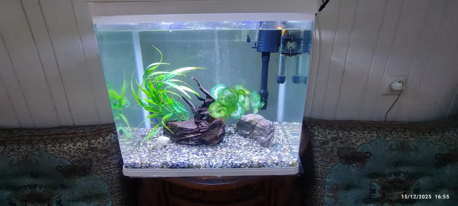 آکواریوم دلسا k500|ماهی|تهران, امام زاده عبدالله|دیوار