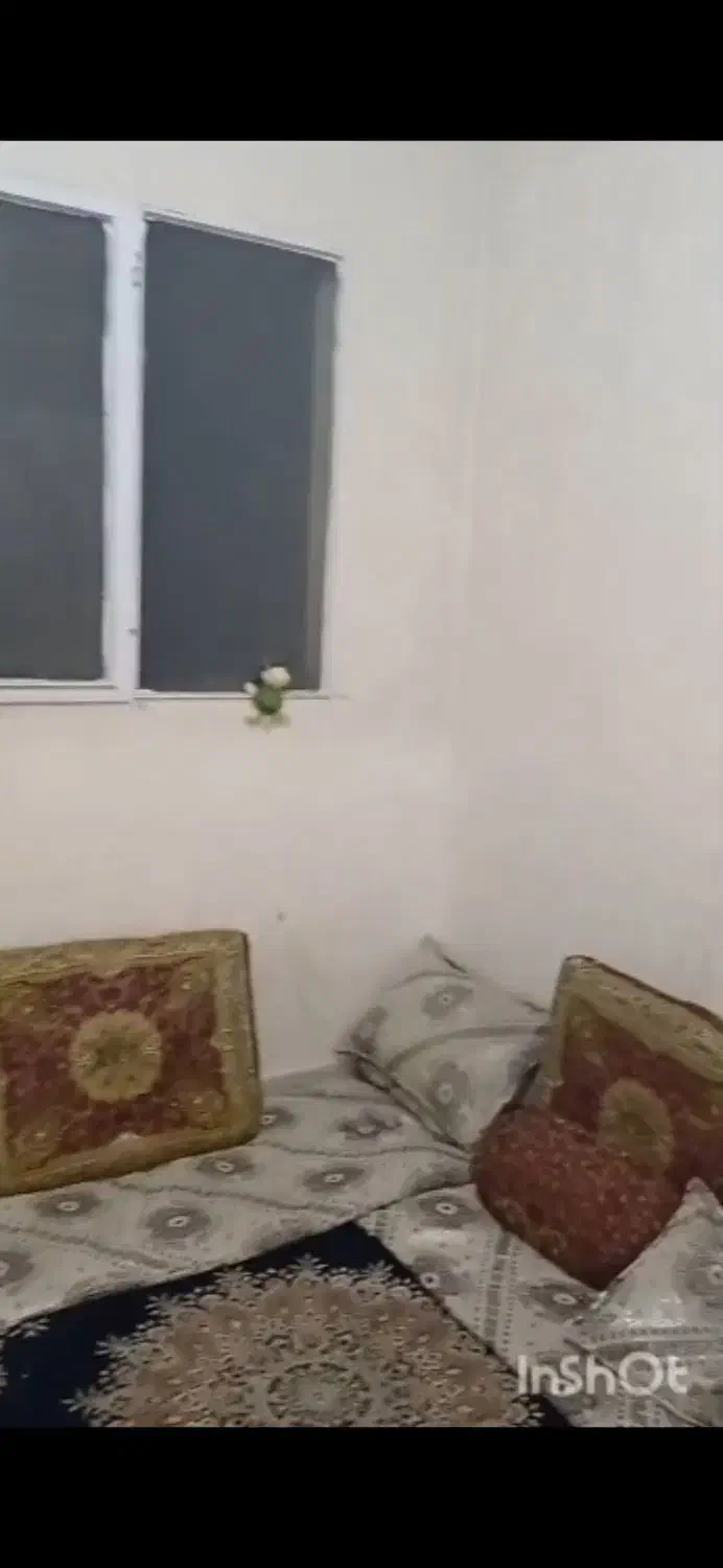 ۳۰مترنقلی دانشجویی خ آزادی دانشگاه شریف|اجارهٔ آپارتمان|تهران, دانشگاه شریف|دیوار