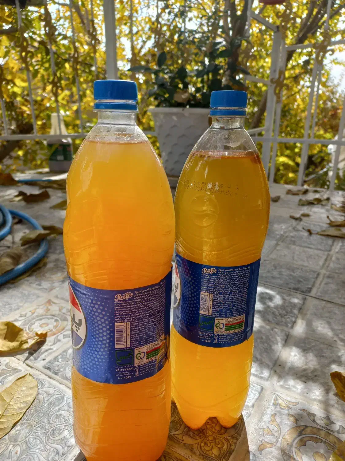 آبغوره تازه|خوردنی و آشامیدنی|شیراز, درکی|دیوار