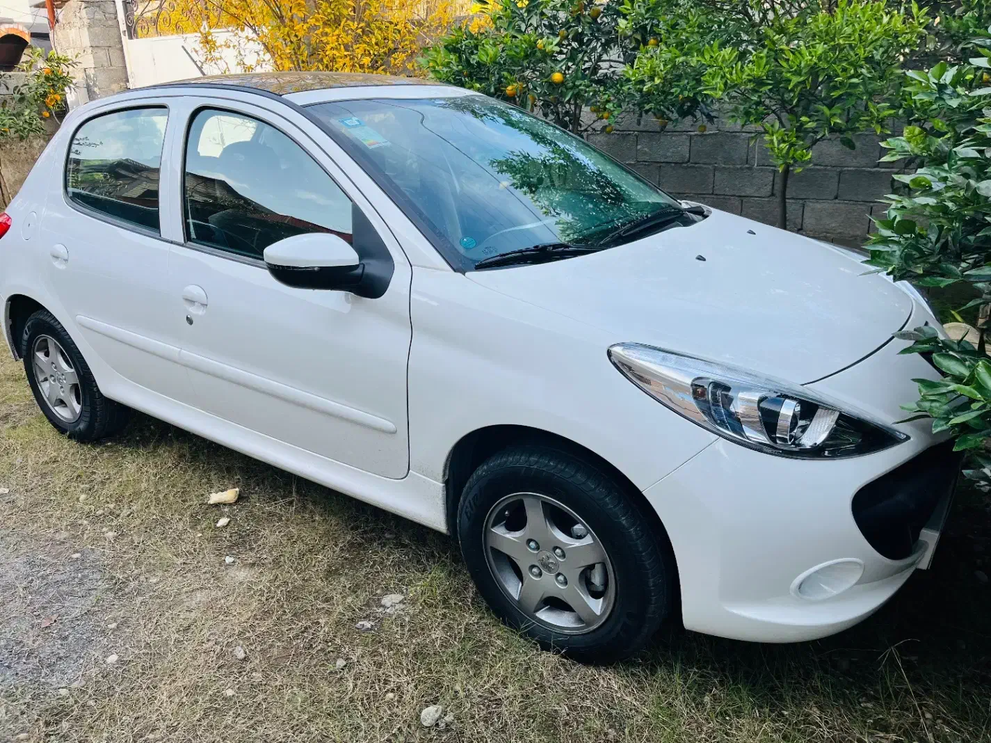 ۲۰۷ اتوماتیک پانا مدل ۱۴۰۳|خودرو سواری و وانت|کرج, جهان‌شهر|دیوار