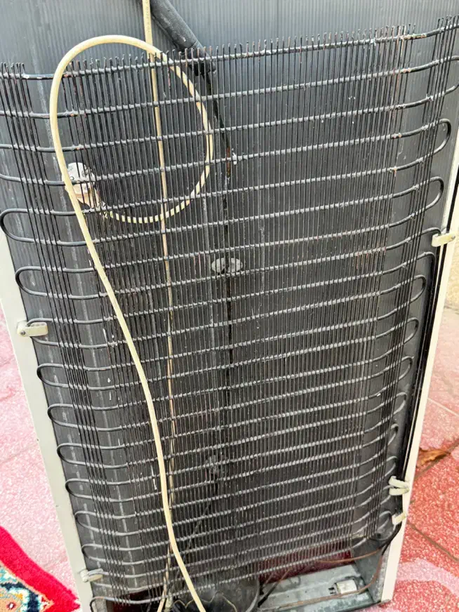 یخچال فریز|یخچال و فریزر|قشم, |دیوار