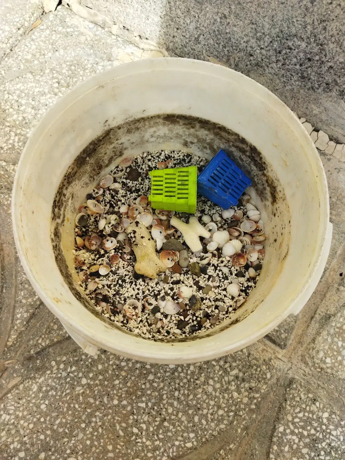 شن آکواریوم|ماهی|قوچان, |دیوار