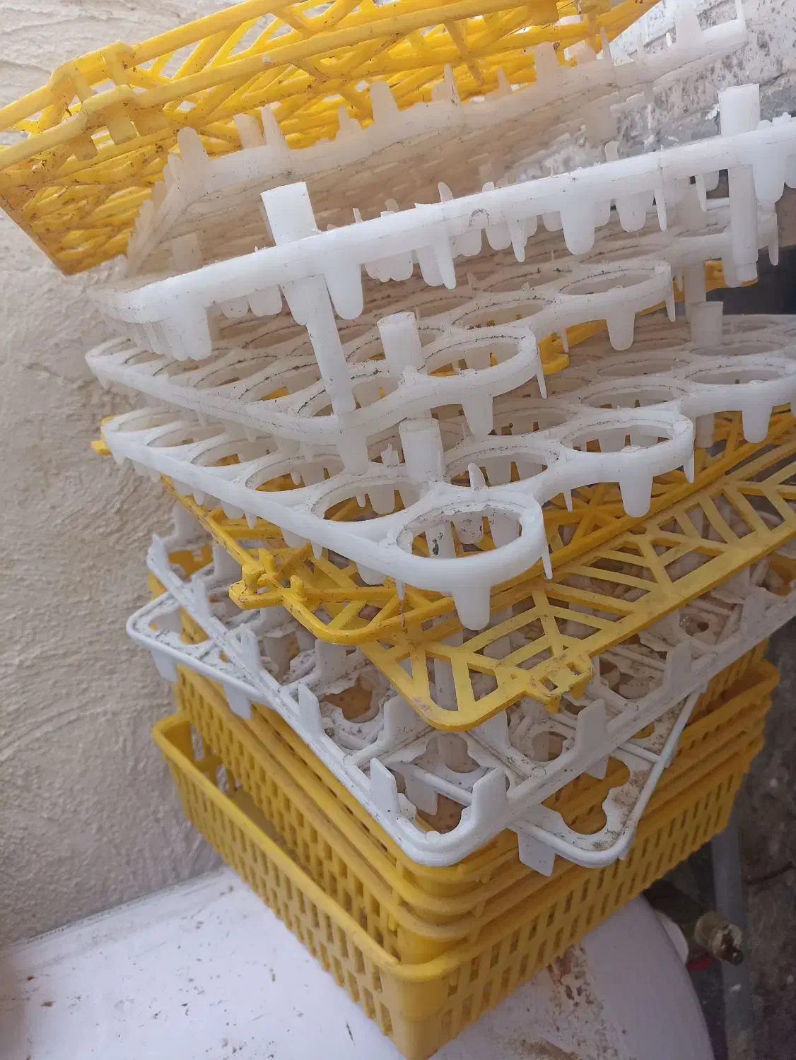 دستگاه جوجه کشی هدایت ۲۱۰تایی|لوازم جانبی حیوانات|رشت, ولکس|دیوار