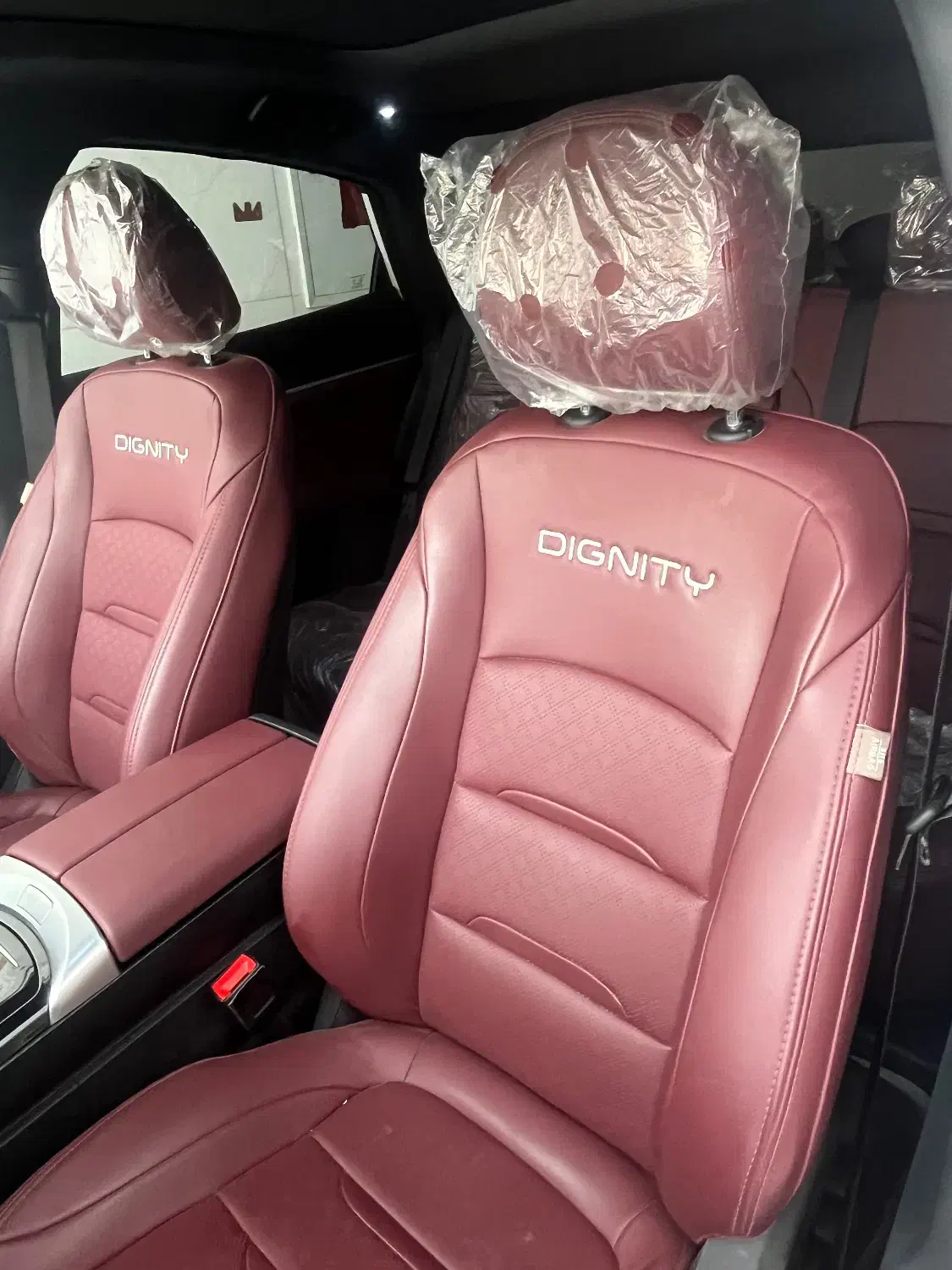 دیگنیتی پرایم۱۴۰۳|خودرو سواری و وانت|اصفهان, شهرک کاوه|دیوار