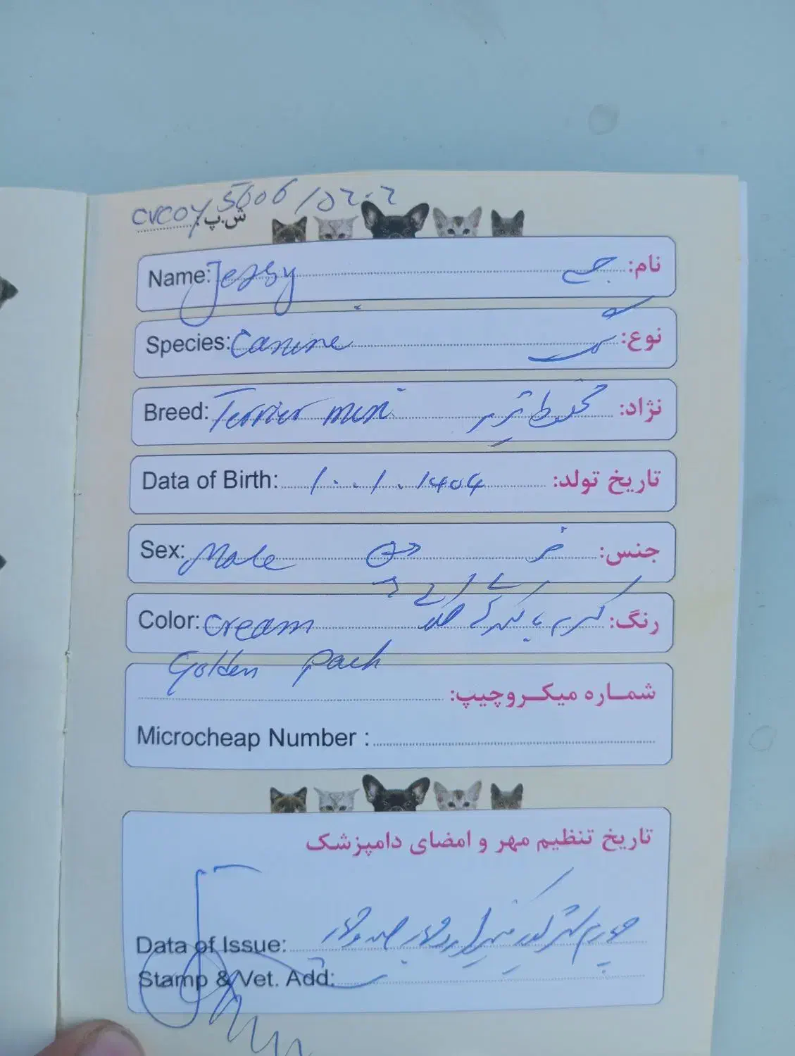 سگ آپارتمانی|سگ|حمیدیا, |دیوار