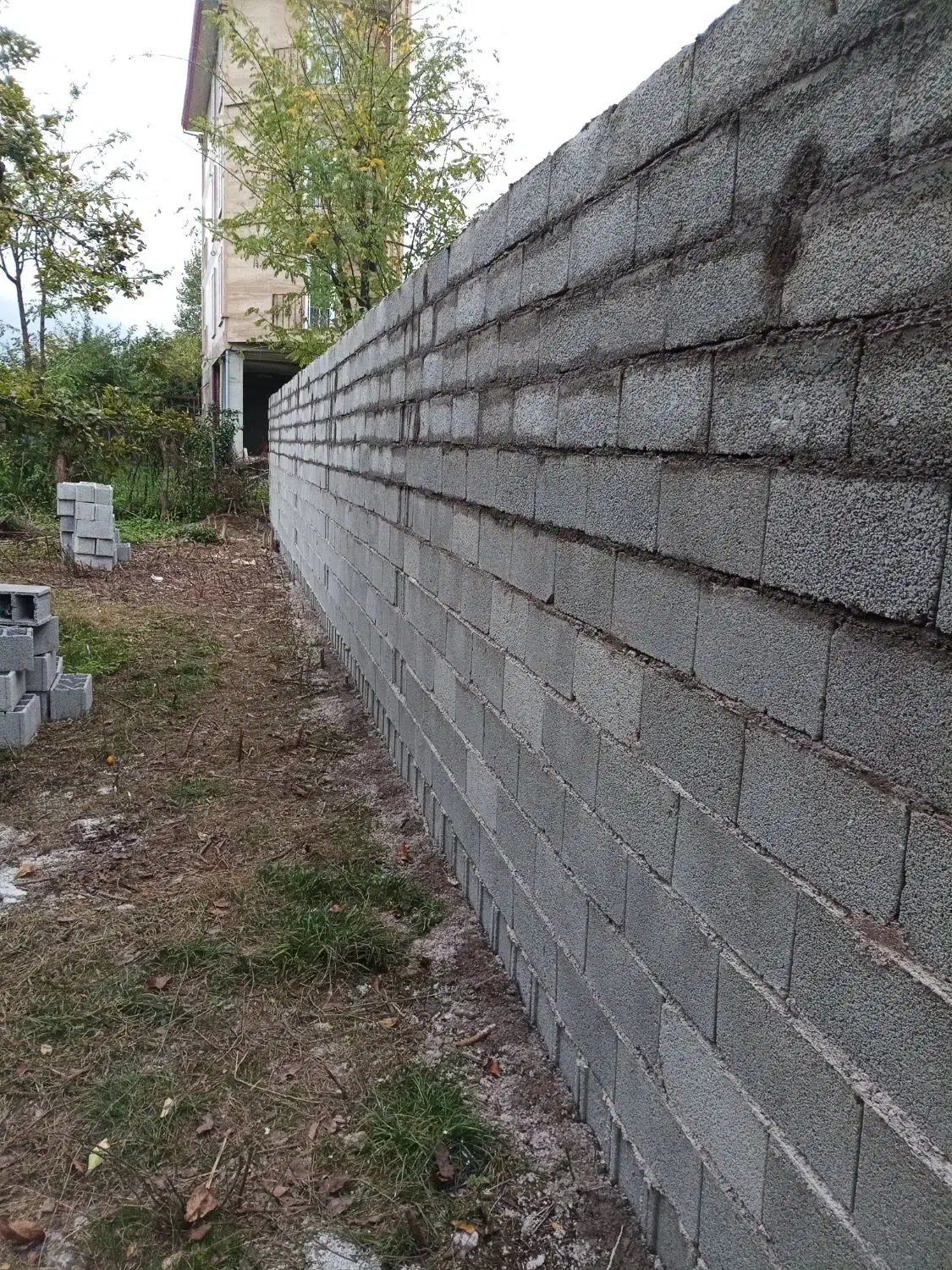 بنایی و۰۰۰۰۰۰|خدمات پیشه و مهارت|شاندرمن, |دیوار