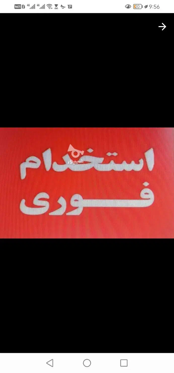 استخدام فوری در کارخانه تولید سبد میوه|استخدام صنعتی، فنی، مهندسی|قائمشهر, |دیوار