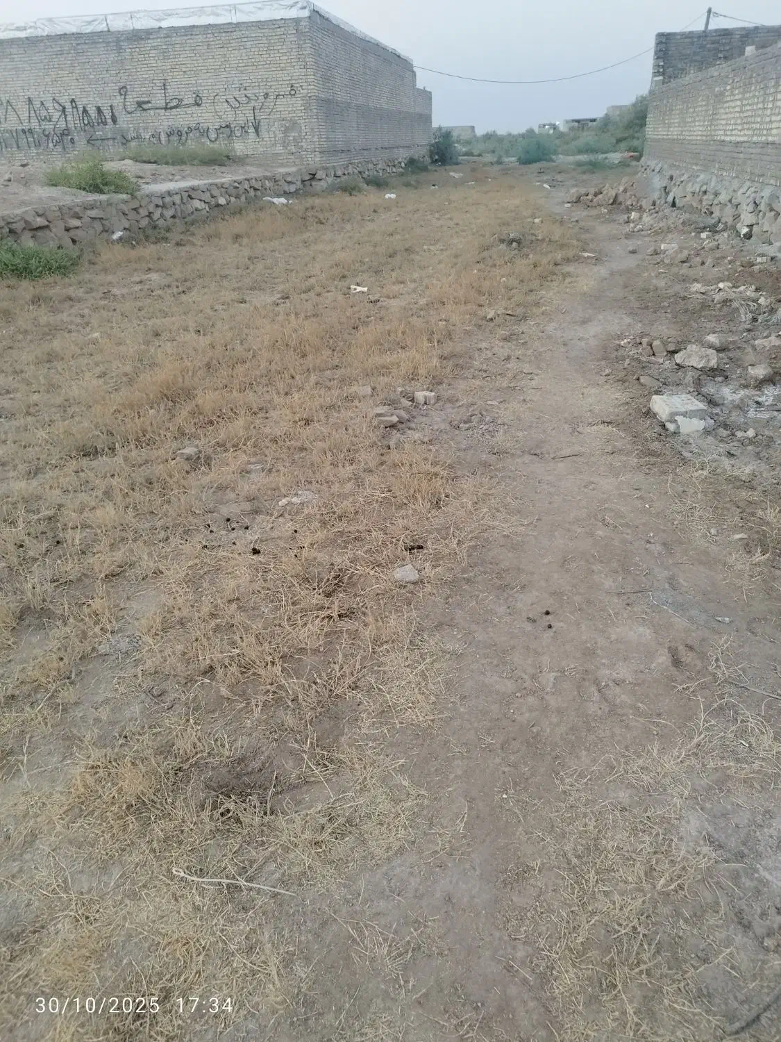 فروش زمین|فروش زمین و ملک کلنگی|سوسنگرد, |دیوار