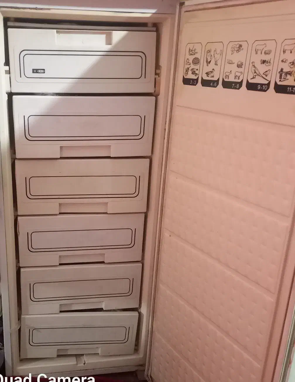 یخچال تمام فریزر|یخچال و فریزر|اسفرورین, |دیوار