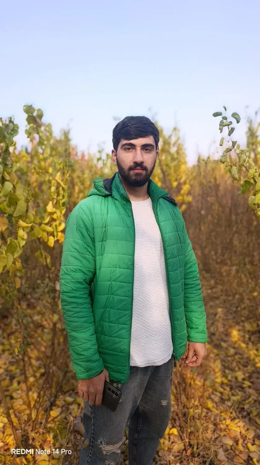 نهال های پایه دار یک سال تا پنج سال|خدمات باغبانی و درختکاری|اردبیل, |دیوار