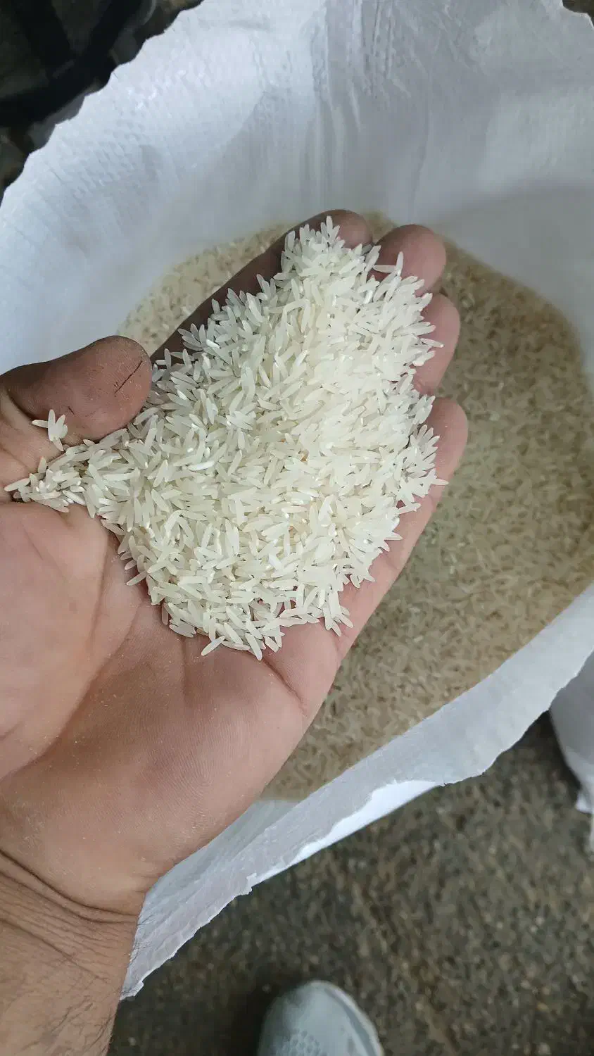 برنج فجردرجه یک عالی وخوشبخت|خوردنی و آشامیدنی|تاتار علیا, |دیوار