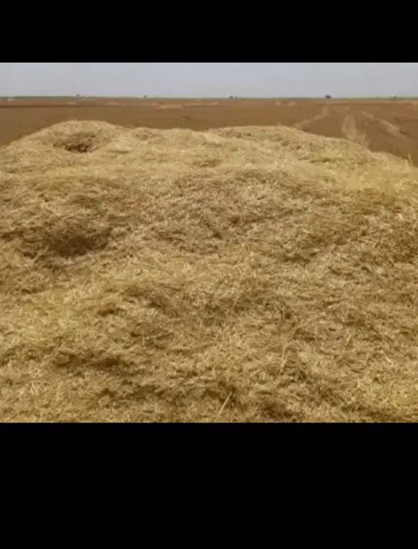 کاه گندم|لوازم جانبی حیوانات|قیدار, |دیوار