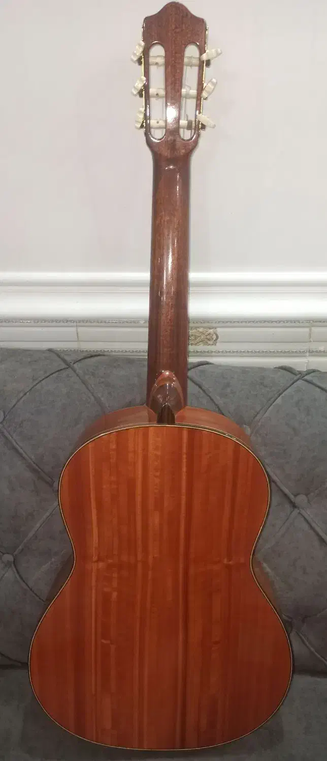 گیتار Cordoba master series کاملا سالم|گیتار، بیس، امپلیفایر|بوشهر, |دیوار