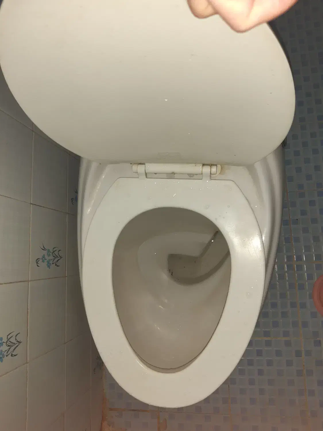 توالت فرنگی|لوازم سرویس بهداشتی|نیشابور, شهرک فرهنگیان|دیوار