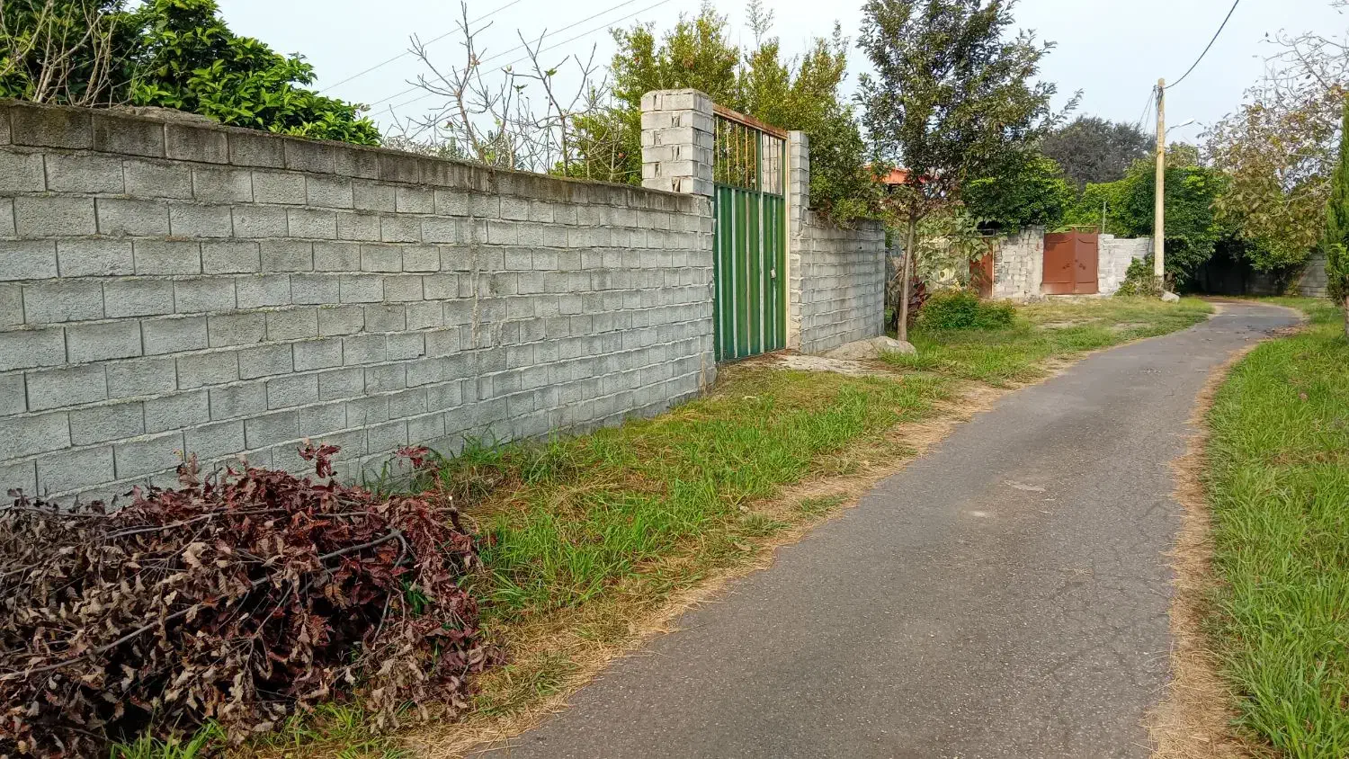 ۲۵۰ متر زمین داخل بافت|فروش زمین و ملک کلنگی|زرگرشهر, |دیوار