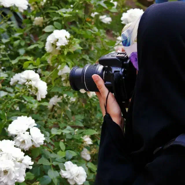 عکاسی در فضای باز (کادر بانو)|خدمات پذیرایی، مراسم|کرمان, |دیوار