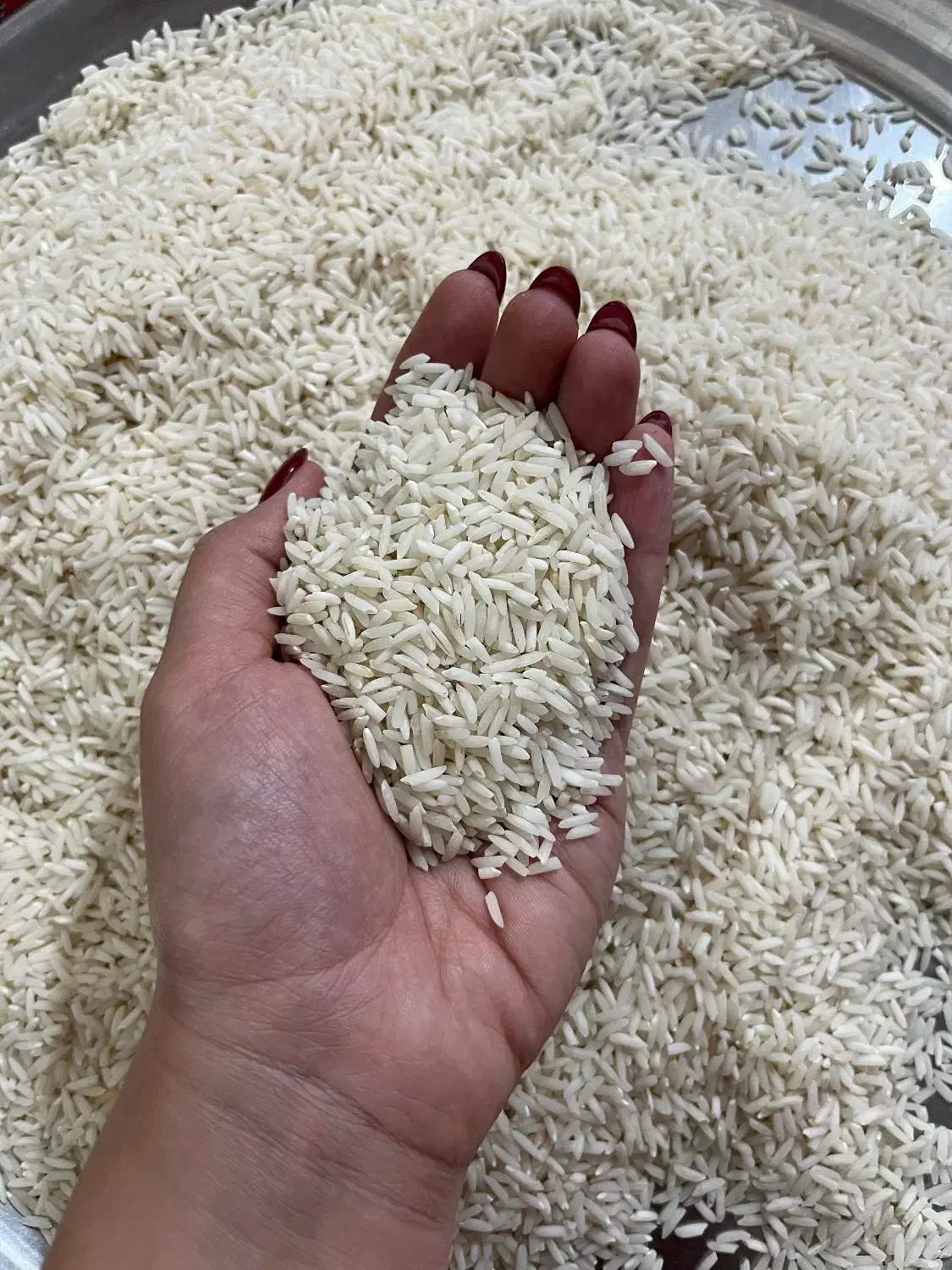 برنج هاشمی درجه ۱ ۳۰۰ کیلو موجود|خوردنی و آشامیدنی|لاهیجان, طالقانی|دیوار