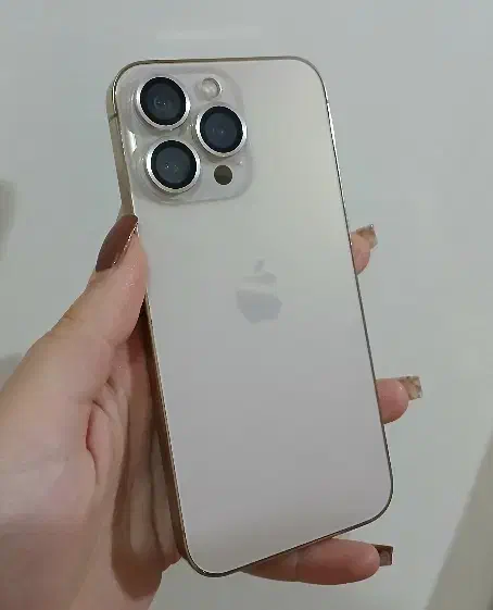 13 پرو|موبایل|کرج, گوهردشت|دیوار